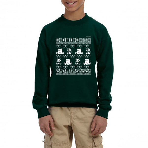 Winter Holiday Sweater design by P.M.B.Q. Studios. This design simulates a wintry knit pattern and features the Polo Cub character and his adorable panda friend. The design is white printed on a youth forest green crewneck sweatshirt and is worn by a boy model.